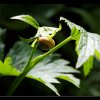 20130715_020